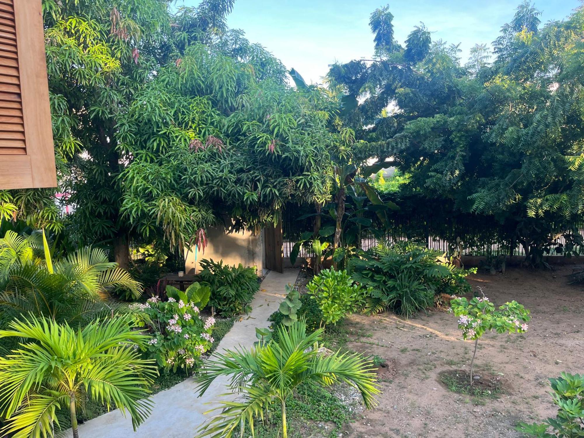 Agua De Coco Apartman Puerto Escondido  Kültér fotó